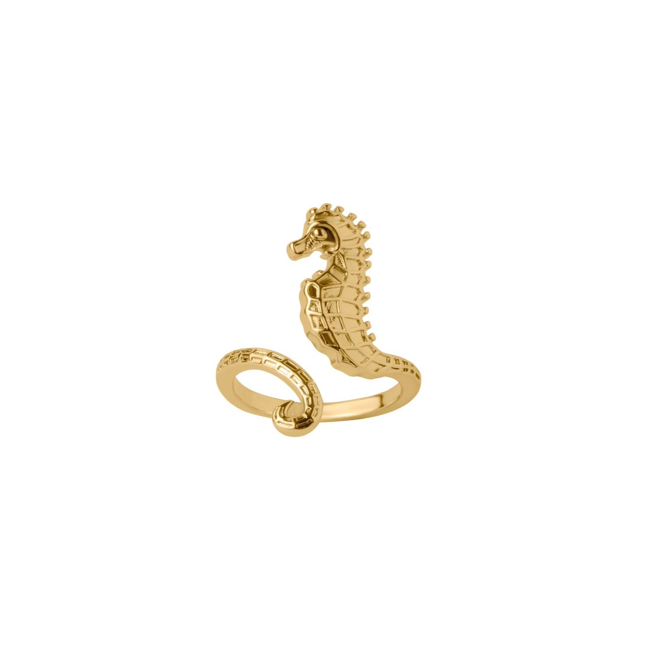 ANILLO CABALLITO DE MAR